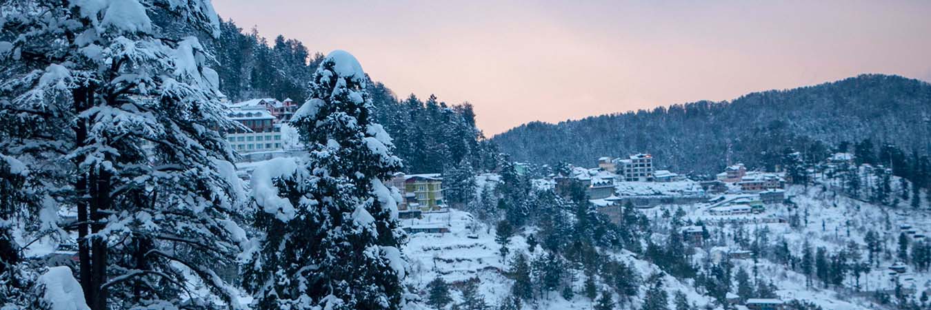 Shimla